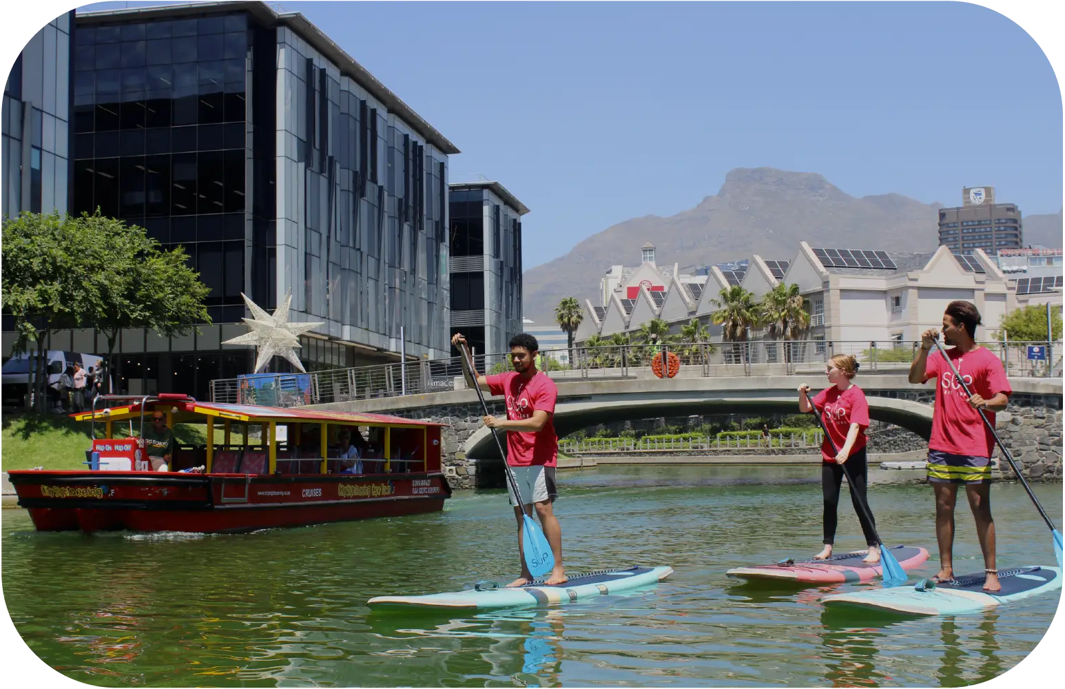 Paddleboarding at the Waterfront Cape Town